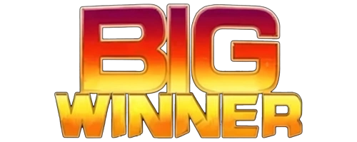 Bigwinner SMIG