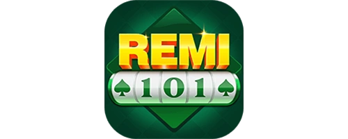 Remi101 SMIG