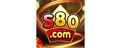 S80 SMIG